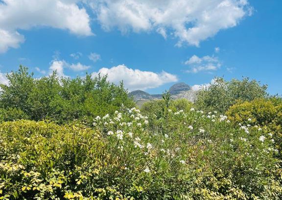 Aubagne Casa | Maison de charme au pied du Garlaban