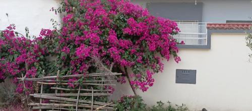 Ain Mediouna Casa | Maison des vacancies,repos et relaxation