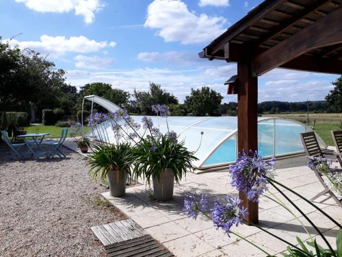 Bonnoeuvre Casa | Maison familiale avec piscine, grand jardin clos et équipements de loisirs - FR-1-306-898