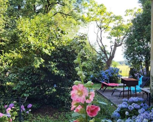 Verdun-en-Lauragais Casa | Maison gîte tranquille et nature.