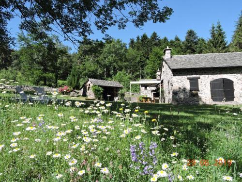 Queyrieres Casa | Maison isolée, au cœur des volcans, terrain clos, jeux, confort, cheminée, proche forêts et villages. - FR-1-582-285