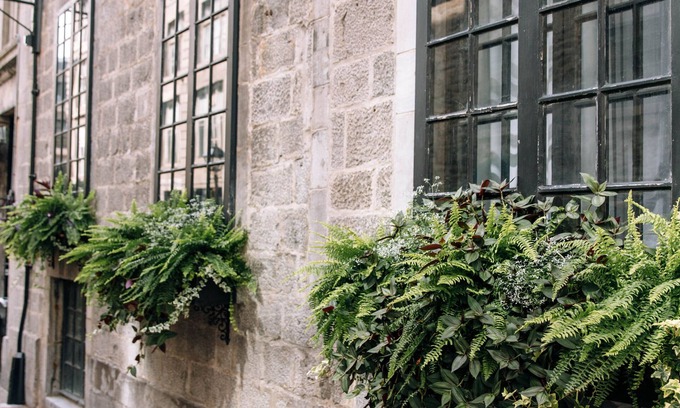 Old Montreal Hotel | Maison Sainte-Thérèse
