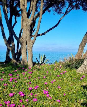 Cervione Casa | Maison U nidu à 500m de la mer