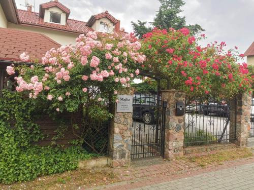 Rowy Apartamento | Majka Apartamenty Studia Pokoje