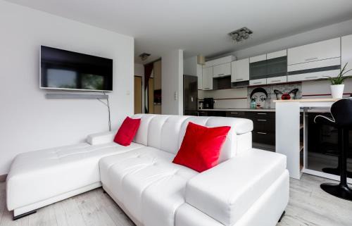 Siedlce Apartamento | Malczewskiego Chic Studio by BookingHost