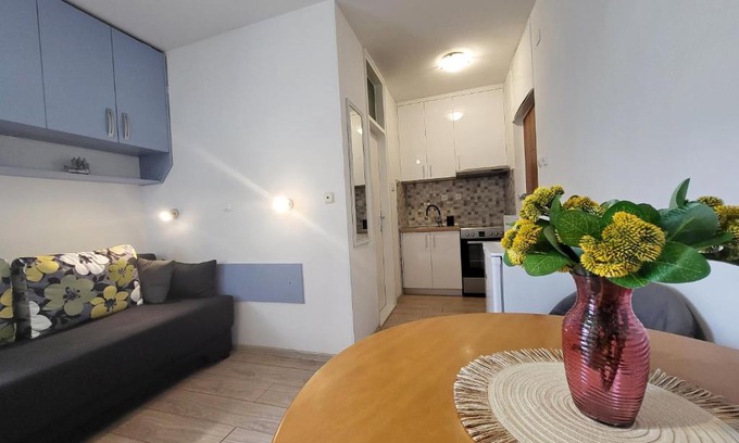 Gorinka Apartamento | Mali apartman u centru