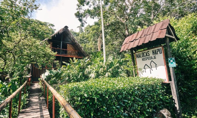 Puerto Narino Casa | Maloka Napü - Ecodestinos