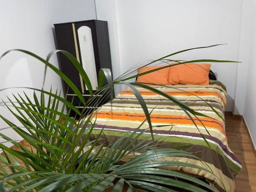 Los Olivos Apartamento | Mamo Apartment