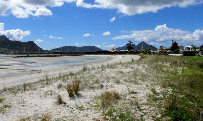 One Tree Point Cabaña | Manaia Ver Bach - One Tree Point Bach