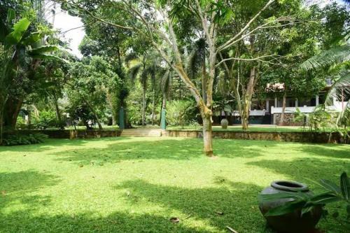 Ambalangoda Casa | Mango Breeze Hikkaduwa
