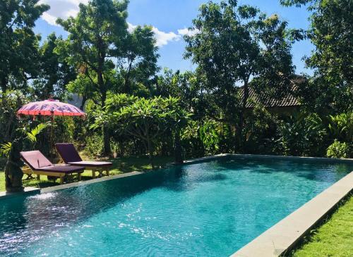 Pemuteran Casa | Mango Moon