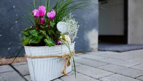 Boos Apartamento | Manus Ferienwohnung