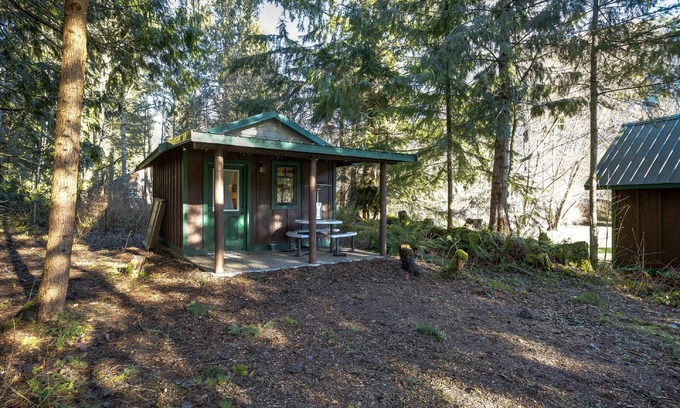 Maple Falls Cabina | Maple Falls Cabin #72 - Sleeps 2 - Pets Ok