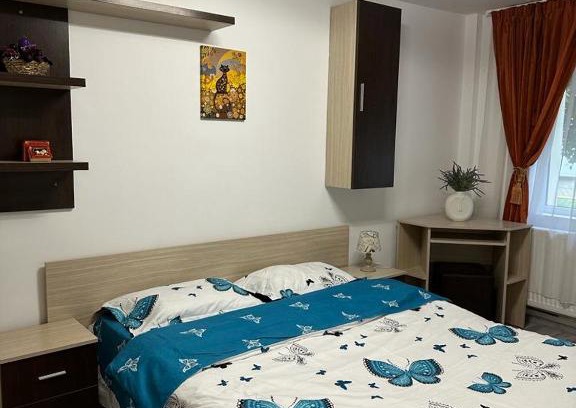 Fagaras Apartamento | Mara