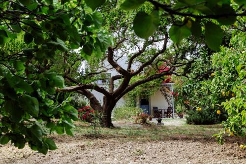 Eggares Casa | Margouno Eco Cottage