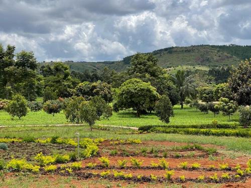 Kigoma Casa | MARK-A Karama Vacation
