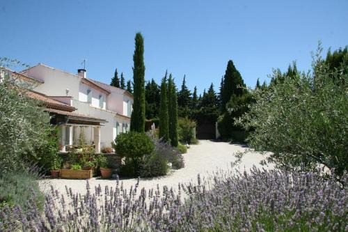St.-Remy-de-Provence Cama Y Desayuno | Mas de l'Estello B&B
