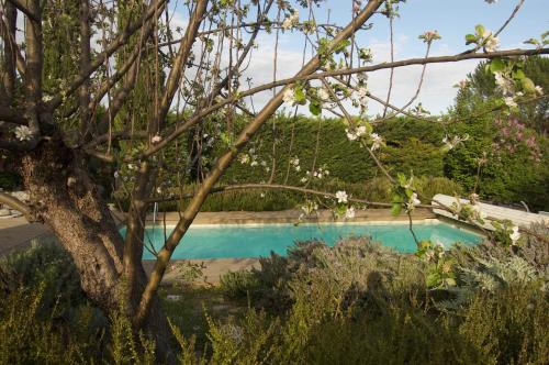 Manosque Casa | Mas de la Lézardière — Maison d'Artiste