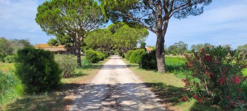 Port-Saint-Louis-du-Rhone Casa | Mas du Grand Peloux