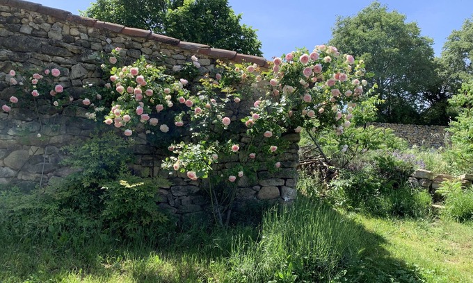 Lambesc Otro | Mas en Provence Entièrement Rénové Pour des Vacances Familiales de Rêve