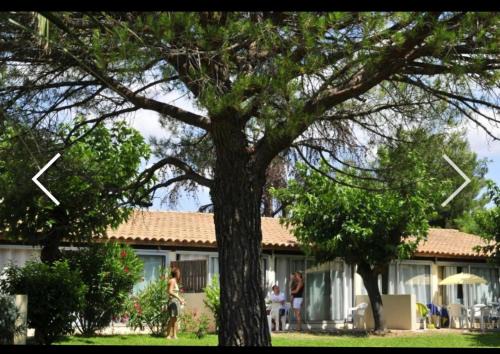 Perols Apartamento | Masblanc ensoleillé