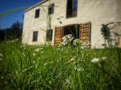 Sant Cebria de Vallalta Chalet De Esquí | Masia Mediterranian Country House Ca l'Isidre Torrent