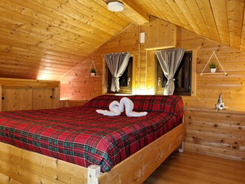 Pieve Tesino Casa | Maso Patrizia - Il tuo rifugio nella natura