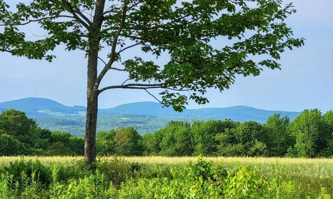 Jackson Cabina | Mason hill. Peaceful, quiet rustic 3 season camp with views.