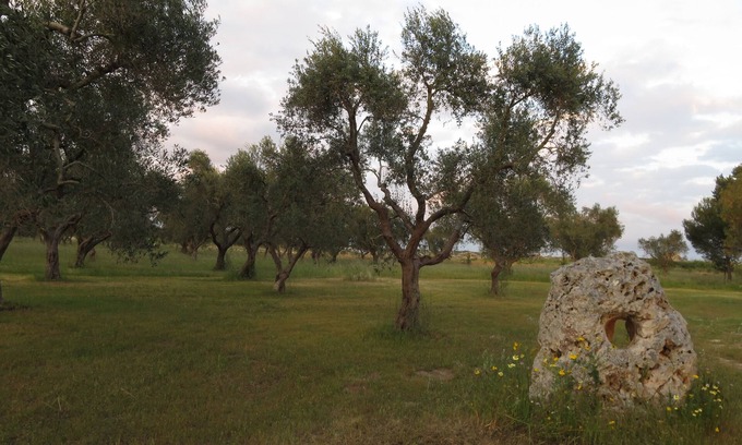 Carpignano Salentino Casa | Masseria Mauriani 1623-La-Torre de apartamentos en una antigua granja