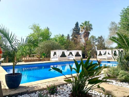 Manacor Apartamento | MATEO, Apartment auf Finca Zenara, Küche, XXL Pool, AC, WIFI, Yoga