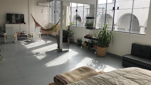 Tropical Lowlands Apartamento | Matony