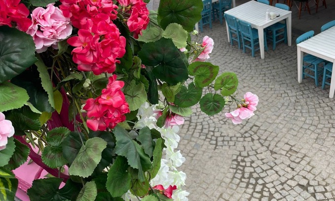 Sigacık Casa | Mavi Ege Butik Otel