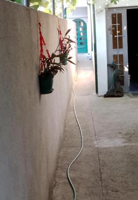 Niksic Apartamento | Max24