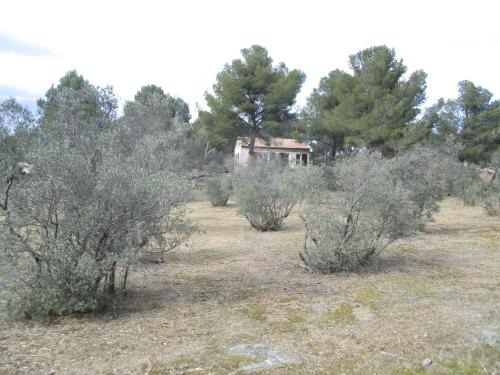 Mouries Casa | Mazet pleine nature