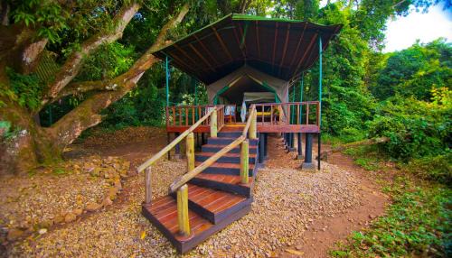 Kigoma Cabina | Mbali Mbali Gombe Lodge