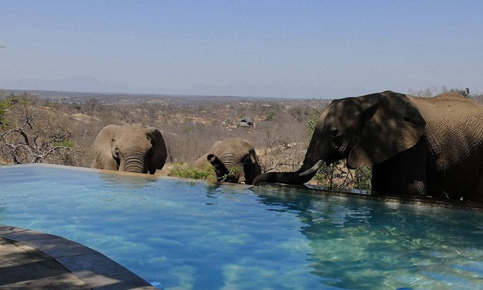 Phalaborwa Cabina | Mbizi Bush Lodge