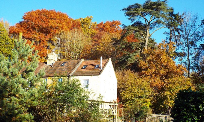 Corsham Cama Y Desayuno | Meadowbrook Cottage B&B