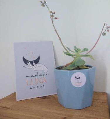 Choele Choel Apartamento | Media Luna Apart -Depto A en Choele Choel