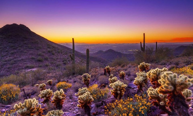 South Medlock Place Cabaña | Medlock Place Guesthouse - N. Phoenix central - Privado - Bastante -
