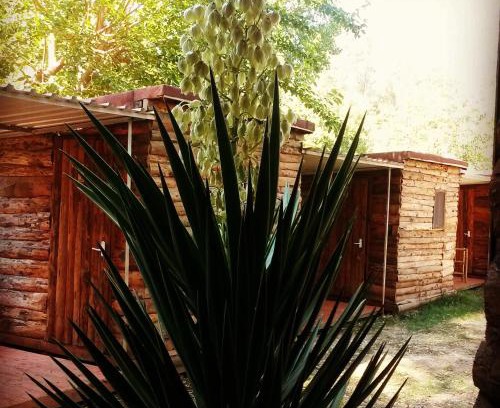 Patara Otro | Medusa Camping