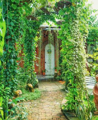 Long Ho Casa | Mekong Pottery Homestay, Green-Friendly & Boat Tour