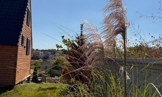 Sinop Casa | MERKEZDE DOGAYLA İÇ İÇE DENİZE 100 METRE MESAFEDE BUNGALOV.