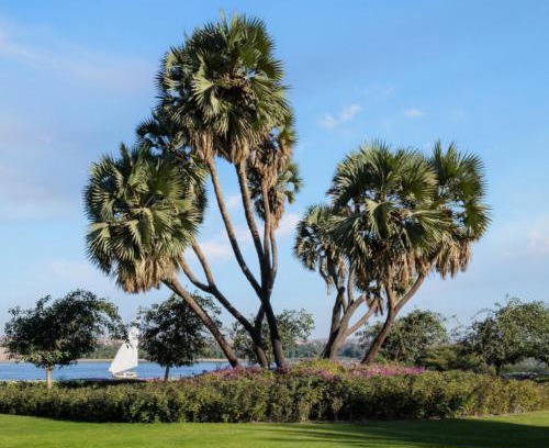 Aswan Complejo | MGM Wellness Retreat