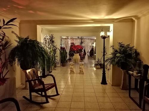 Zona Paseo Montejo Apartamento | MI CA-SA EN MÉRIDA