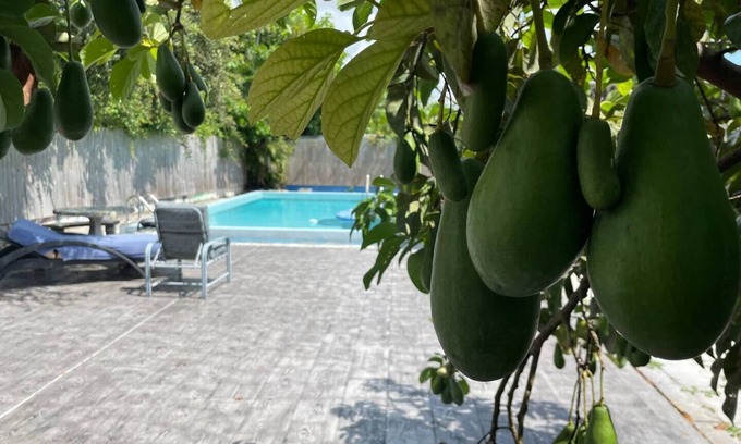 Ives Estates Casa | Miami Private Home with Large Pool