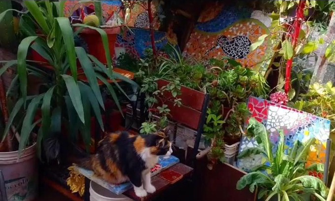 Colina Casa | Michi house roomies backpackers