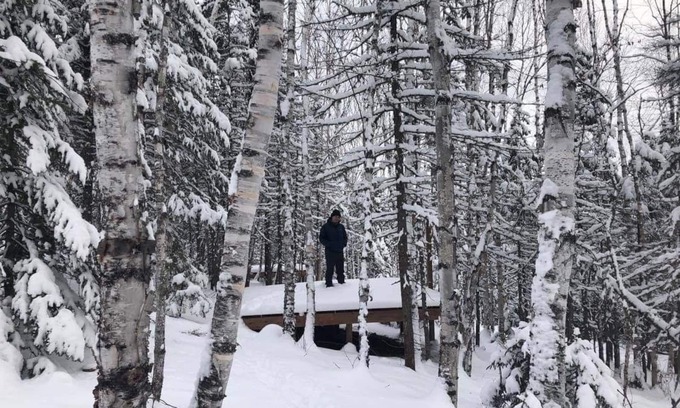 Baie-St-Paul Chalet De Esquí | Dens Microchalets in the Charlevoix forest