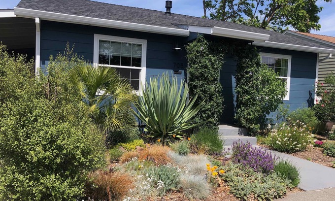 Petaluma Casa | Bungalow de mediados de siglo en la región vitivinícola