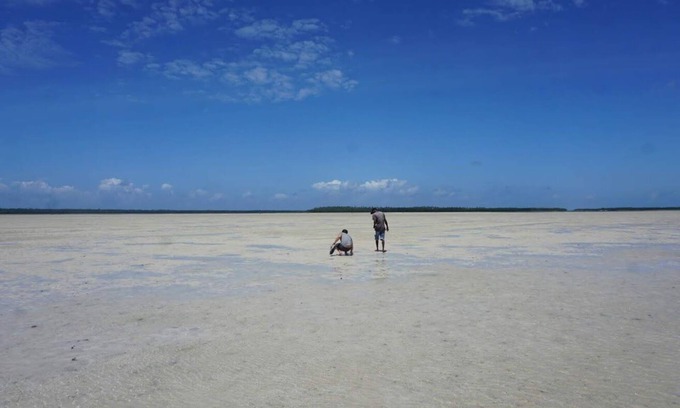 Gede Otro | Mida Creek Nature Camp