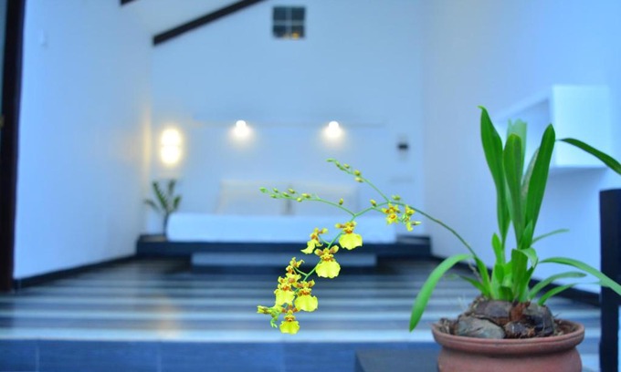 Midigama Cama Y Desayuno | Midigama Holiday Inn